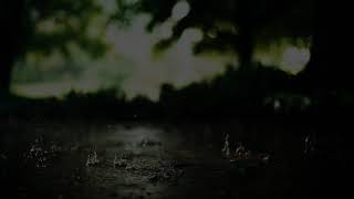 LISTEN FOR A GREAT NIGHTS SLEEP! RELAXING STORM INFUSED WITH BROWN NOISE