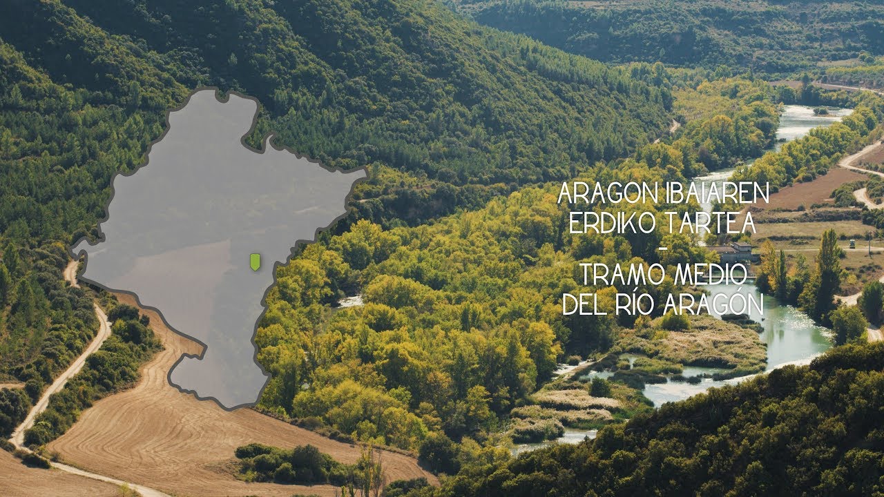 Natura 2000- TRAMO MEDIO DEL RÍO ARAGÓN