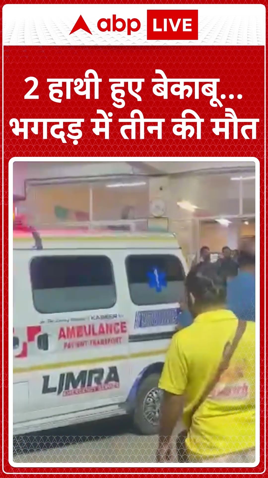 Kerala News: केरल के मनकुलंगरा मंदिर में वार्षिक उत्सव के दौरान दो हाथी बेकाबू, भगदड़ में 3 की मौत |