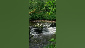 تلاوة تريح القلب من سورة الانعام للشيخ المنشاوي رحمه الله  #القرآن_الكريم #اكسبلور