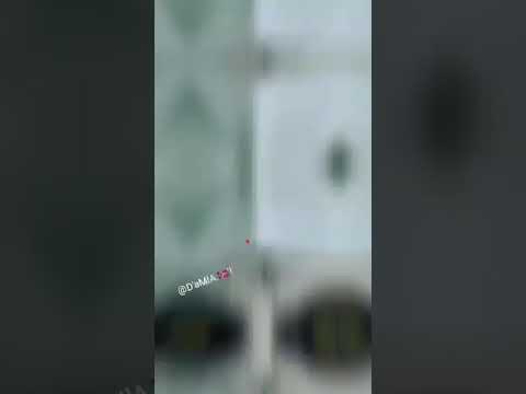 احلي فديو تتفرجي عليه ابل ما تنامي هههه