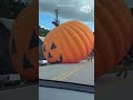 Giant Inflatable Pumpkin Rolls Down Road, Menaces Cars