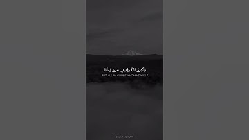 إِنَّكَ لَا تَهْدِي مَنْ أَحْبَبْتَ القارئ رعد الكردي #حالات_واتس