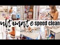 NEW! 2019 ULTIMATE SPEED CLEAN | MASSIVE CLEAN & DECLUTTER