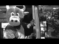 Farewell Bushwacker
