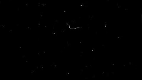 Free 4K Dust Particles Video | Floating White Dust Overlay on Black Background