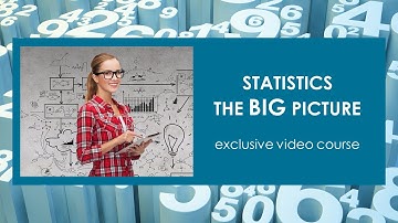Statistics - The Big Picture (Exclusive Video Course!)