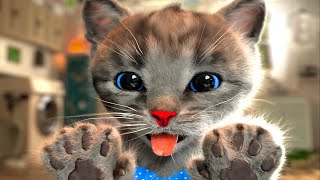 MY LITTLE KITTEN ADVENTURE - SUPER CATS AND ANIMALS GAMES FOR KIDS AND BABY (IOS ANDROID) screenshot 2