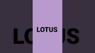 Lotus