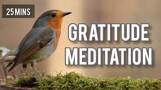 Gratitude Meditation | कृतज्ञता ध्यान | in hindi | Neelam Kumar