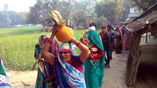 Shrimad Bhagwat Katha (Niwari) Bhaat Short Clips-07