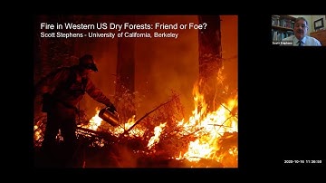 Wildfires in Western U.S.: Friend or Foe?