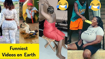 Top Funny Moments of the Year | Try Not to Laugh Challenge (Part 7)