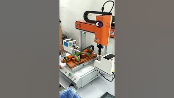 Single work position Double Screwdrivers Magnetic Suction Automatic Locking Screw Machine