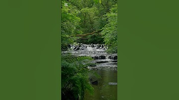 تلاوة خاشعة - ياسر الدوسري #تلاوة_خاشعة #اكسبلور #viralvideo #راحة_نفسية