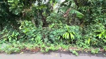 Bán vườn trái cây xã Láng lớn mt đg nhựa kdc dt 5 sào 8, giá tốt 7 tỉ còn tl