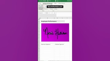 Yes a handwritten signature imported in excel #exceltips #exceltricks #exceltraining #exceltutorial