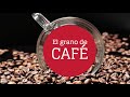 EL GRANO DE CAFÉ...