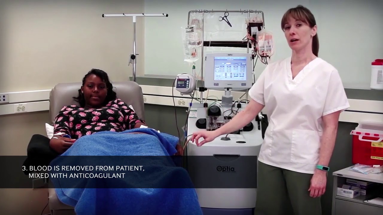 A Patient s Guide Red Blood Cell Exchange And Sickle Cell Disease A Patient s Guide Red Blood Cell Exchange And Sickle Cell Disease