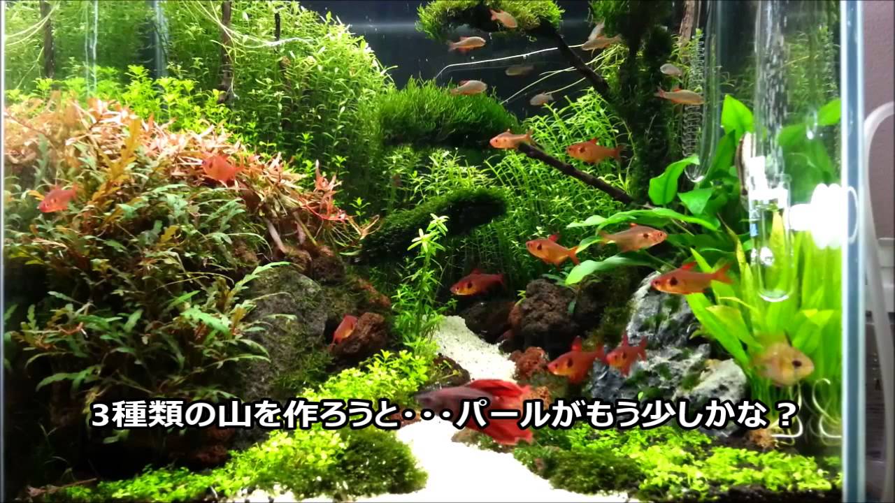 小道のある水草水槽 その5 トリミングからpart2立ち上げ 40cm水槽 Youtube