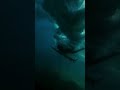 Sometimes you don’t make it, but at least you went for it // Playing around, surfing in small waves