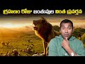 Theatre seats bacteria  solar eclipse  top 10 interesting facts in telugu   facts  vr raja facts