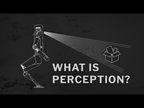 Video: Što je percepcija u ai-ju?