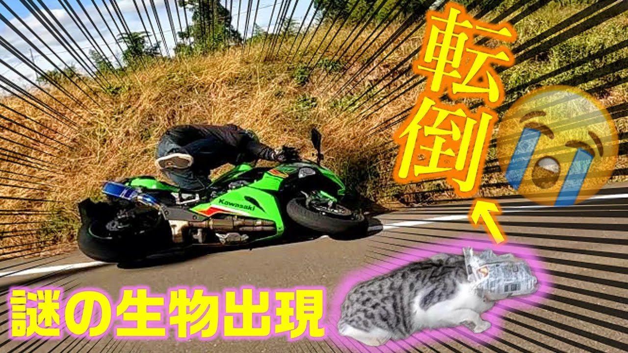 なんだこれ!?謎すぎる転倒【真の忍者乗りはどちらだ？選手権 後編