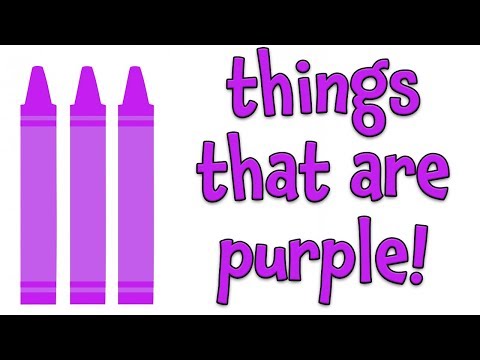 Things that are Purple | Learning Colors for Kids
