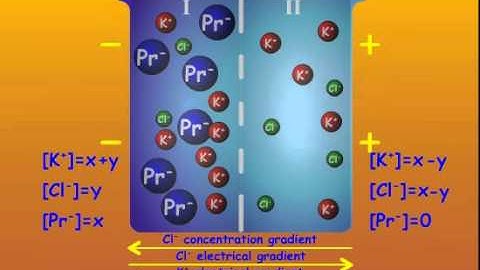 3. Gibbs-Donnan Equilibrium
