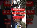 中国人に絡まれた#shorts