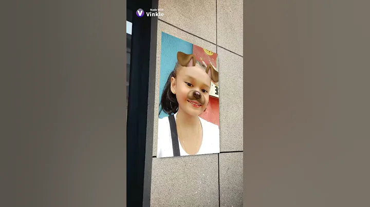 Vinkle Video
