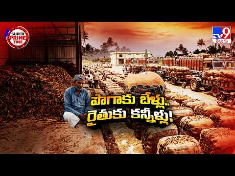 Tobacco Farmers in Crisis: పొగాకు బేళ్లు.. రైతుకు కన్నీళ్లు! - TV9 - TV9