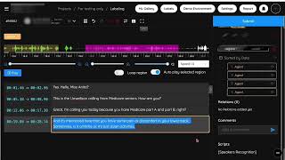 Real call center transcription - Indian English Transcription screenshot 1