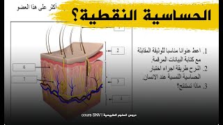 تمرين جديد على الحساسية النقطية للجلد و بنيته