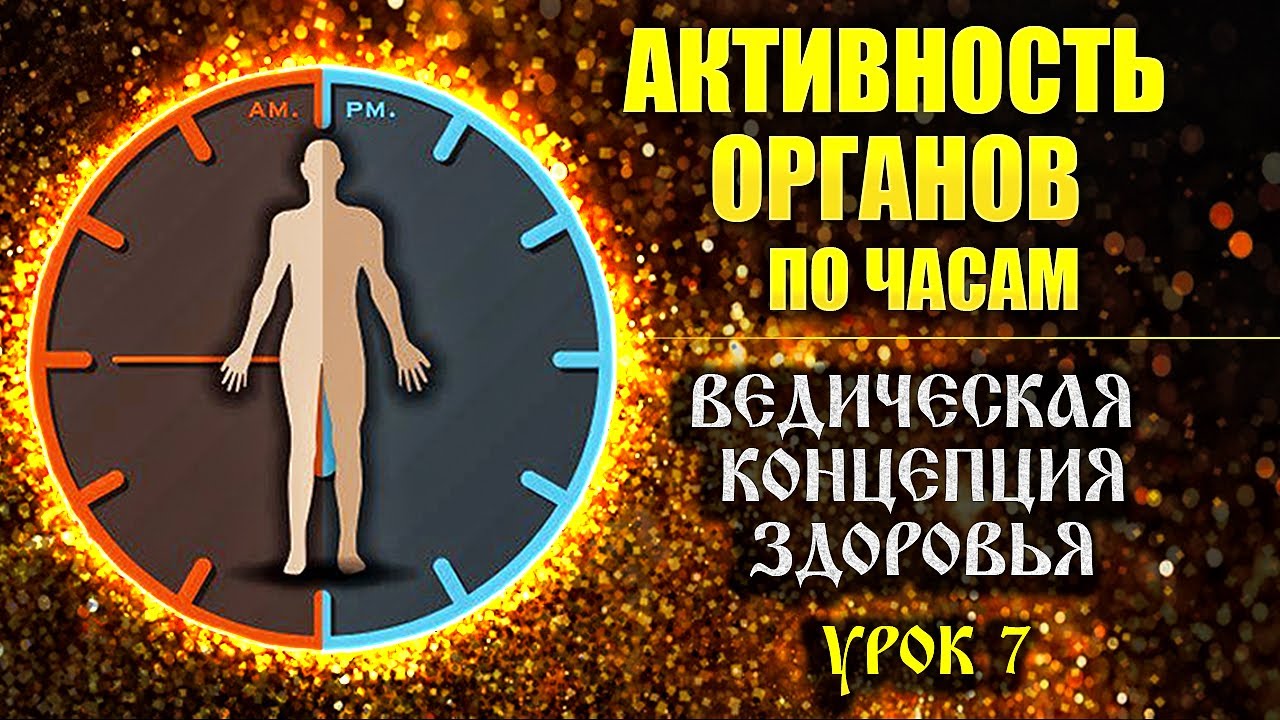 10 часов биологии. Биологические часы. Биологические часы организма. Ведическая концепция времени. Инь и Янь биоритмы.