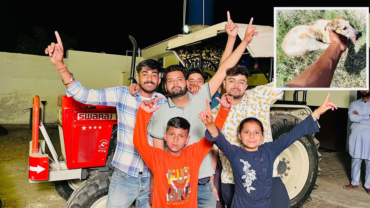 Puppy 🐶 de Jann Bachi | Swaraj 855 te kade garre