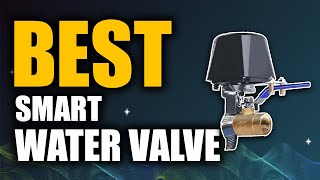 Top 5 Best Smart Water Valve | Don't Buy One Before Watching This