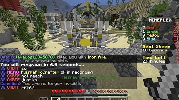 Hacker in Sheep Quest