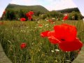 СЕЛО КАЛОТИНА ОТ ТУК ЗАПОЧВА БЪЛГАРИЯ 
