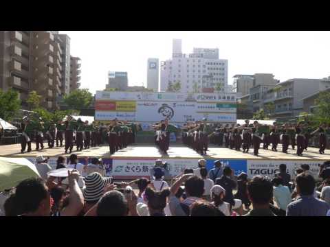 Shuka Uraja 2017 Shimoishii Park Venue Day 2 4K