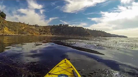 GoPro: Spear Fishing ft. Brock Hansen // Palos Ver...