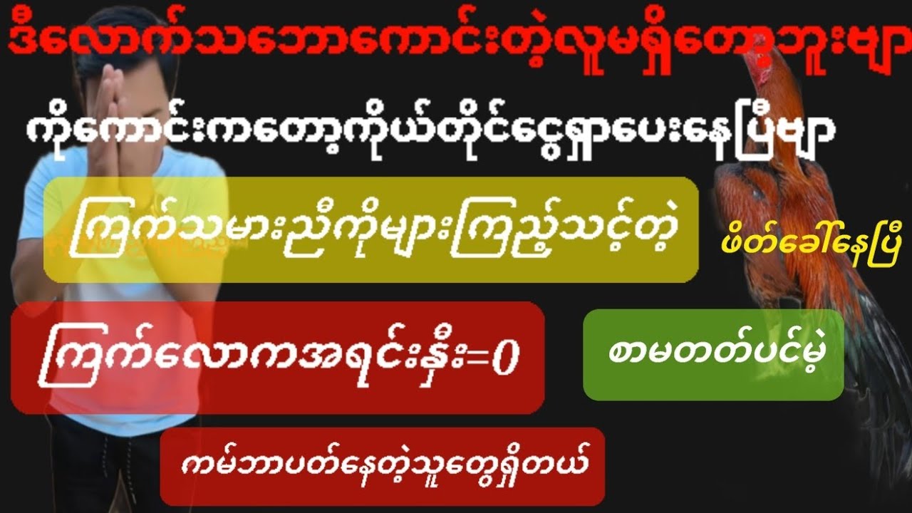 @ကြက်သမားညီကိုများကြည့်စေချင်ပါတယ်ကောင်းလွန်းလို့ပါကြက်လောကအရင်းနှီး=0 စာမတတ်လည်းကမ်ဘာပတ်လို့ရတယ်နော