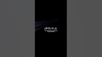 سورة الرحمن: كُلُّ مَنْ عَلَيْهَا فَانٍ ۝ وَيَبْقَى وَجْهُ رَبِّكَ ذُو الْجَلالِ وَالإِكْرَامِ #fyp