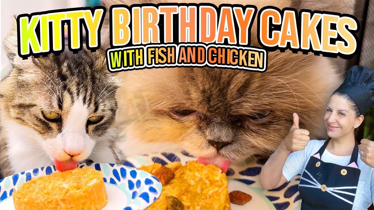 I MADE BIRTHDAY CAKES FOR MY CATS!!!