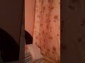 مع  السلامه يانصابين     متنسوش تقفلو الباب وراكوا    نجومي