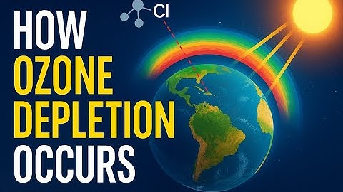 "The Battle to Save the Ozone"