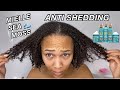 Mielle *NEW* Sea Moss Collection For Anti-Shedding | Is It Worth It?