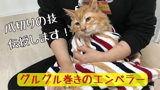 【HOW TO】猫の爪切り　上級編　(抵抗する猫の場合)