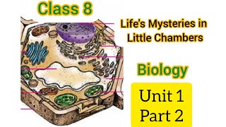 Class 8 Life's Mysteries in Little Chambers Part 2 Biology Unit 1 Scert kerala